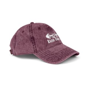 Vintage Gym Cap - "Raise the Bar" Embroidered Hat - Image 15